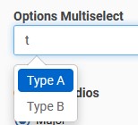 options multiselect.jpg